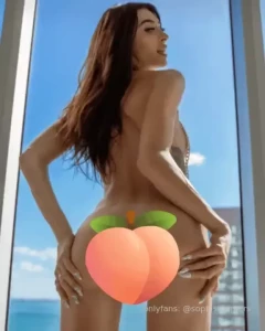 18328646