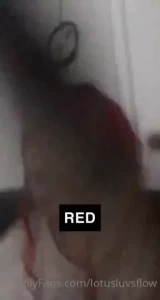 18024704