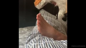 18024654
