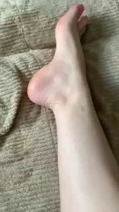18024683