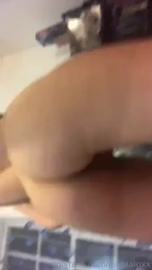 18022389