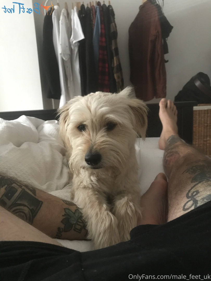 my british feet [ male_feet_uk ] Onlyfans leaked photo 17592659 on Hotleaks.tv
