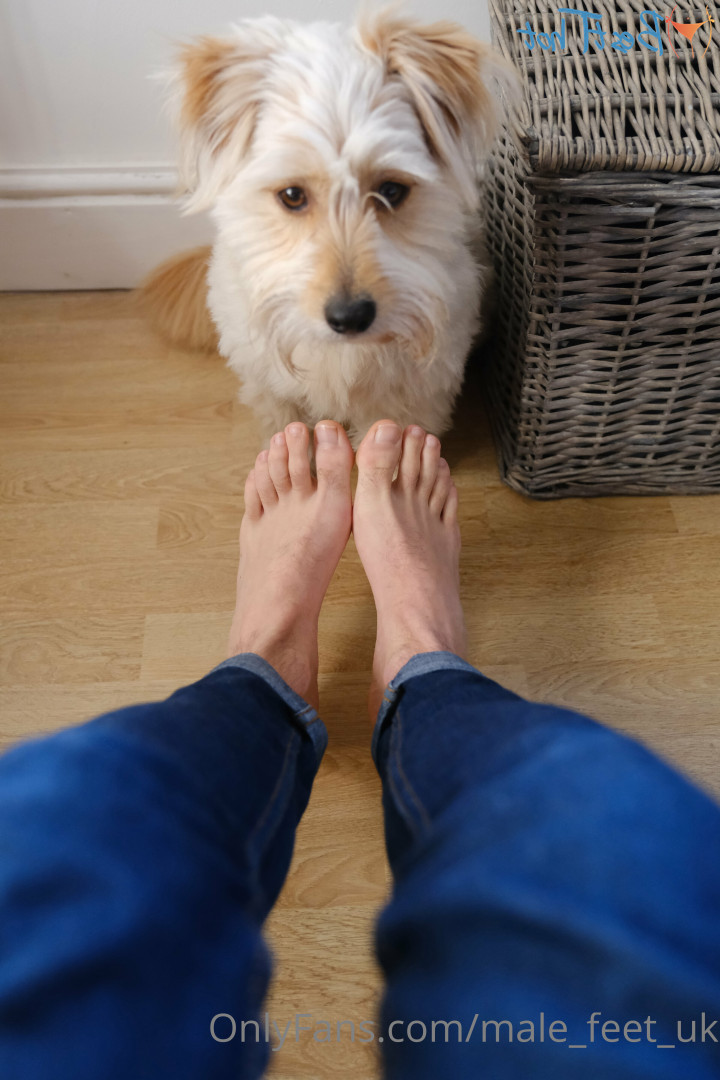 my british feet [ male_feet_uk ] Onlyfans leaked photo 17592929 on Hotleaks.tv