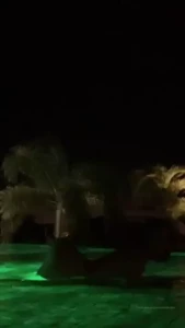 melisamendini Onlyfans leaked video 18015712 on Hotleaks.tv