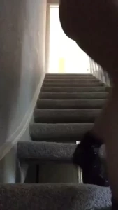 18015912