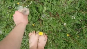 Enchantress Arwyn [ mightyarwyn ] Onlyfans leaked video 18011259 on Hotleaks.tv