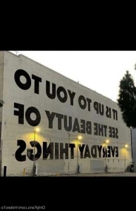 17576598