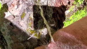 Minerva Fury [ minervahirsute ] Onlyfans leaked video 18010603 on Hotleaks.tv
