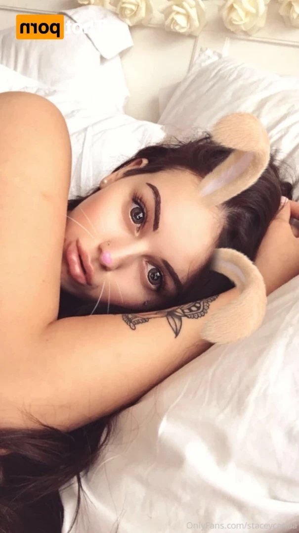 Playmate Stacey Carlaa 🐇👑 [ staceycarlaa ] Onlyfans leaked photo 14930724 on Hotleaks.tv