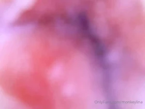 18003905
