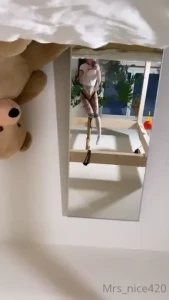 mrs_nice Onlyfans leaked video 18002853 on Hotleaks.tv