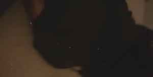 17994486