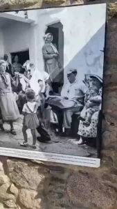 17986942
