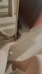 17977627