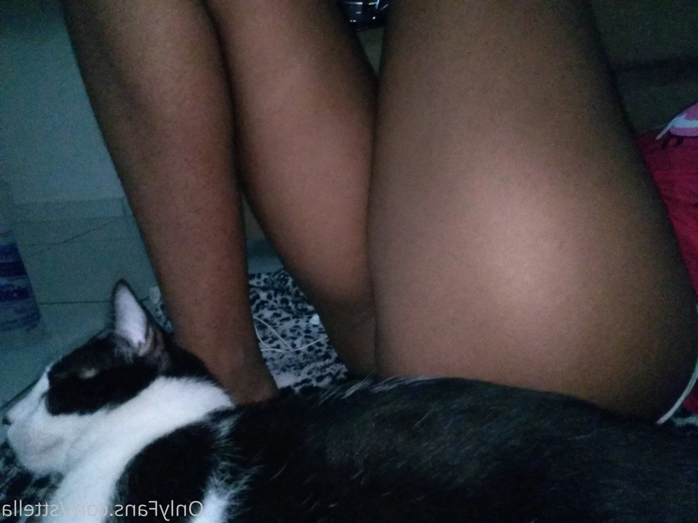 Sttella🇧🇷 [ sttella ] Onlyfans leaked photo 1134196 on Hotleaks.tv