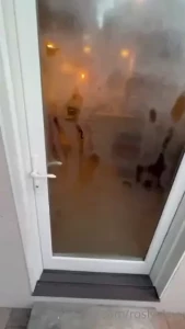 17973954