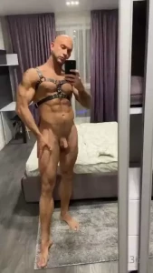17973886