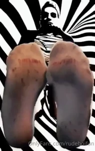 17973036