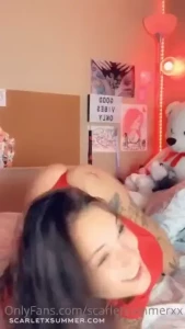 17954205