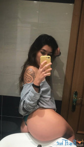 17704204