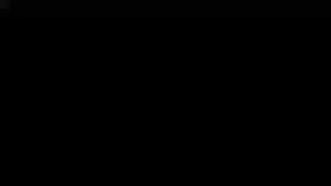 18363566