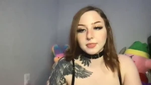 15435253
