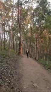 Monte Rae [ sexymatureaussielady ] Onlyfans leaked video 17952824 on Hotleaks.tv