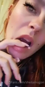 17951034