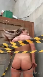 17947794