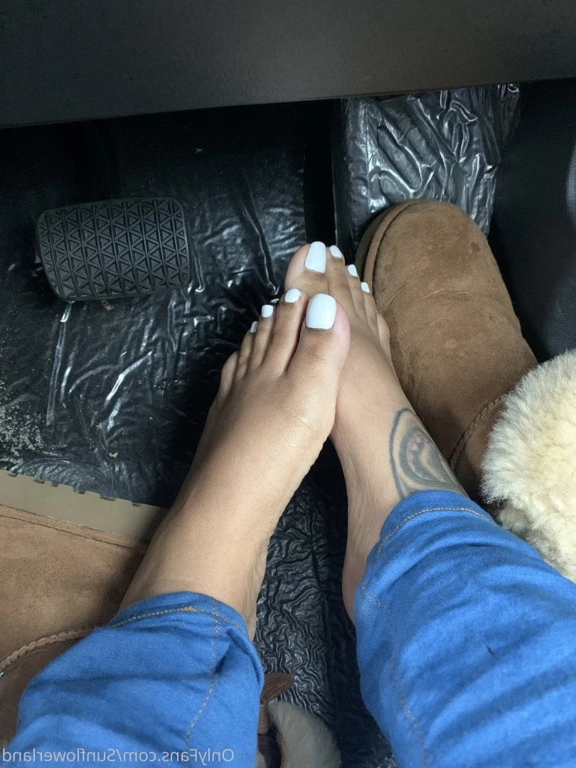 Human Sunflower [ sunflowerland ] Onlyfans leaked photo 1137812 on Hotleaks.tv