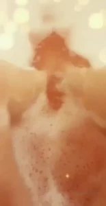 sugar_domme Onlyfans leaked video 17945374 on Hotleaks.tv