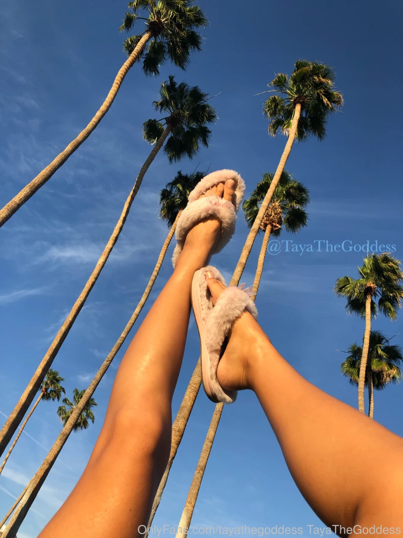 Goddess Taya [ tayathegoddess ] Onlyfans leaked photo 17963830 on Hotleaks.tv