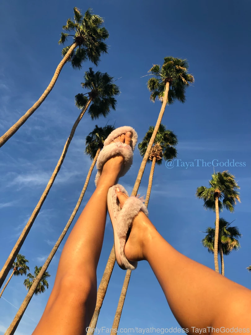 Goddess Taya [ tayathegoddess ] Onlyfans leaked photo 17963835 on Hotleaks.tv