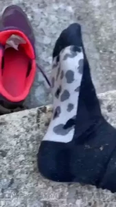 Sweaty Socks and Feet [ usedrunningsock ] Onlyfans leaked video 17930838 on Hotleaks.tv