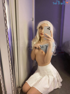 17642204