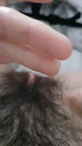 ScarlettBond [ xscarlettbondx ] Onlyfans leaked video 17925246 on Hotleaks.tv
