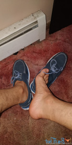 17379644
