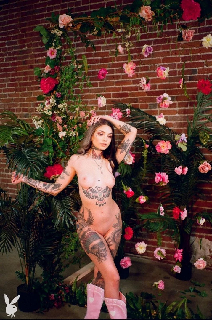 Taylor white [ taylorwhitetv ] Onlyfans leaked photo 1155015 on Hotleaks.tv