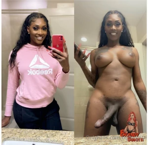 18204062