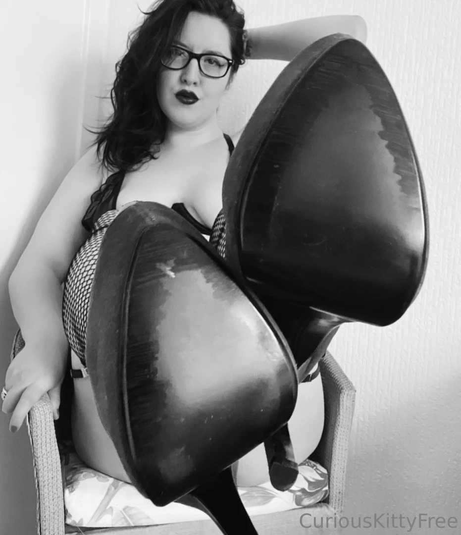 curiouskittypremium Onlyfans leaked photo 18201886 on Hotleaks.tv