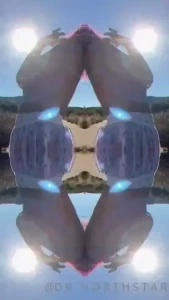 18220589