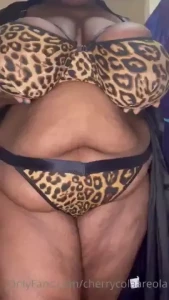 18224404
