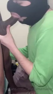 18396694