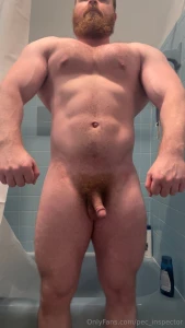 18391495