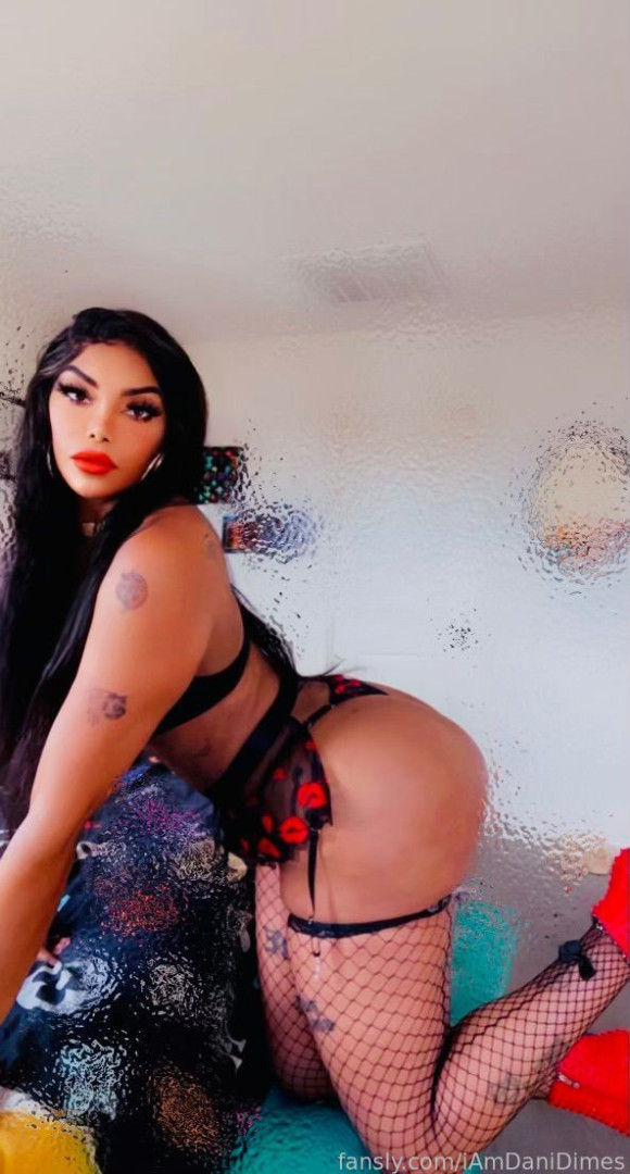 iamdanidimes Onlyfans leaked photo 18481359 on Hotleaks.tv