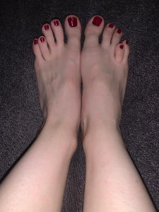 18411651