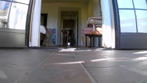 1801539