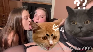 18481672
