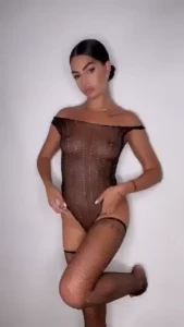 18413582