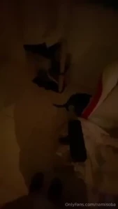 18577698